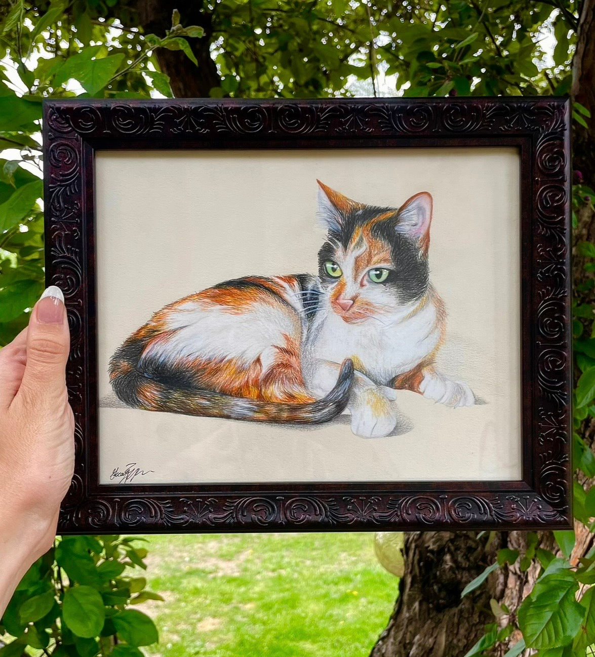 Cat Commission