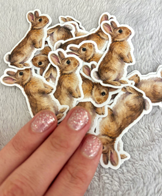Little Dreamer Sticker